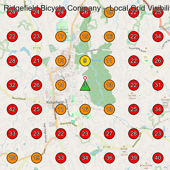 Ridgefield Bicycle Company GeoGrid visibility map for Nail Salon in Ridgefield